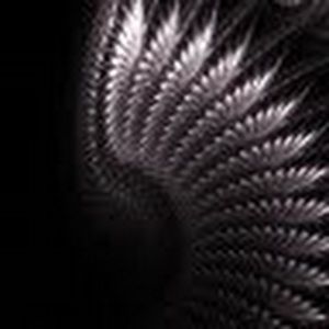 Meet your Posher, Ashlene